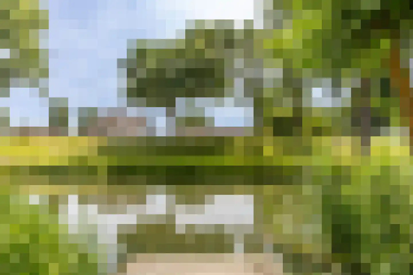 Hendrik Chabotstraat 4 Rhoon thumbnail 49