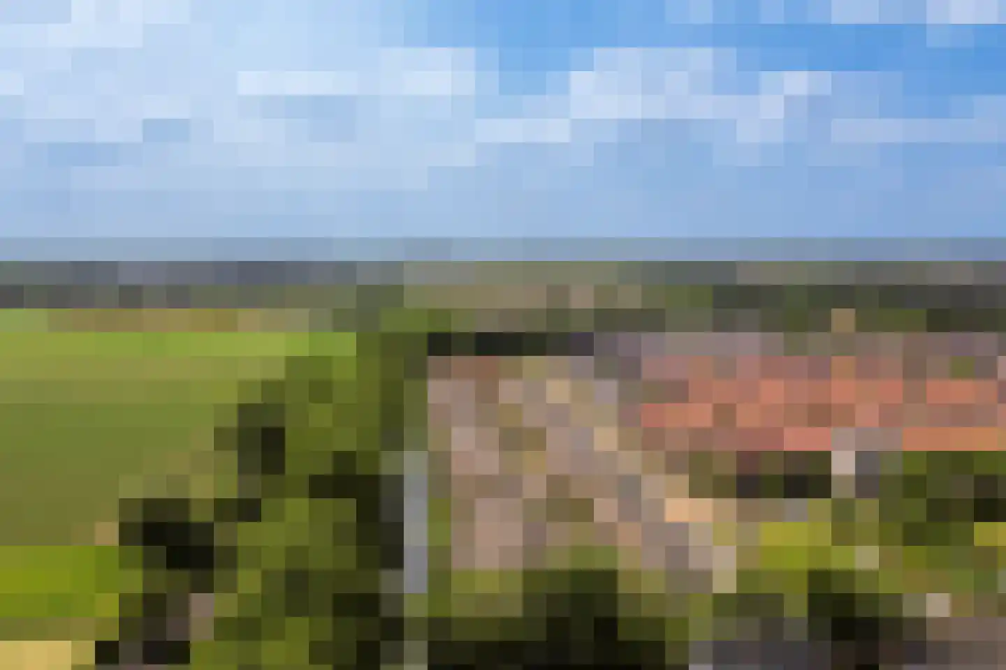 Hendrik Chabotstraat 4 Rhoon thumbnail 50