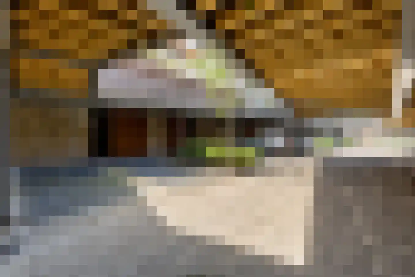 Hendrik Chabotstraat 4 Rhoon thumbnail 51