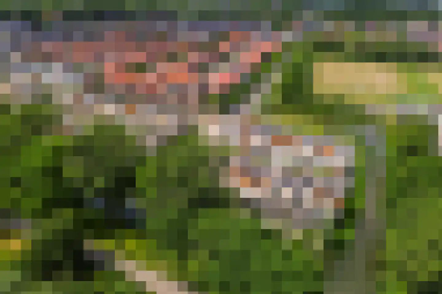 Hendrik Chabotstraat 4 Rhoon thumbnail 52