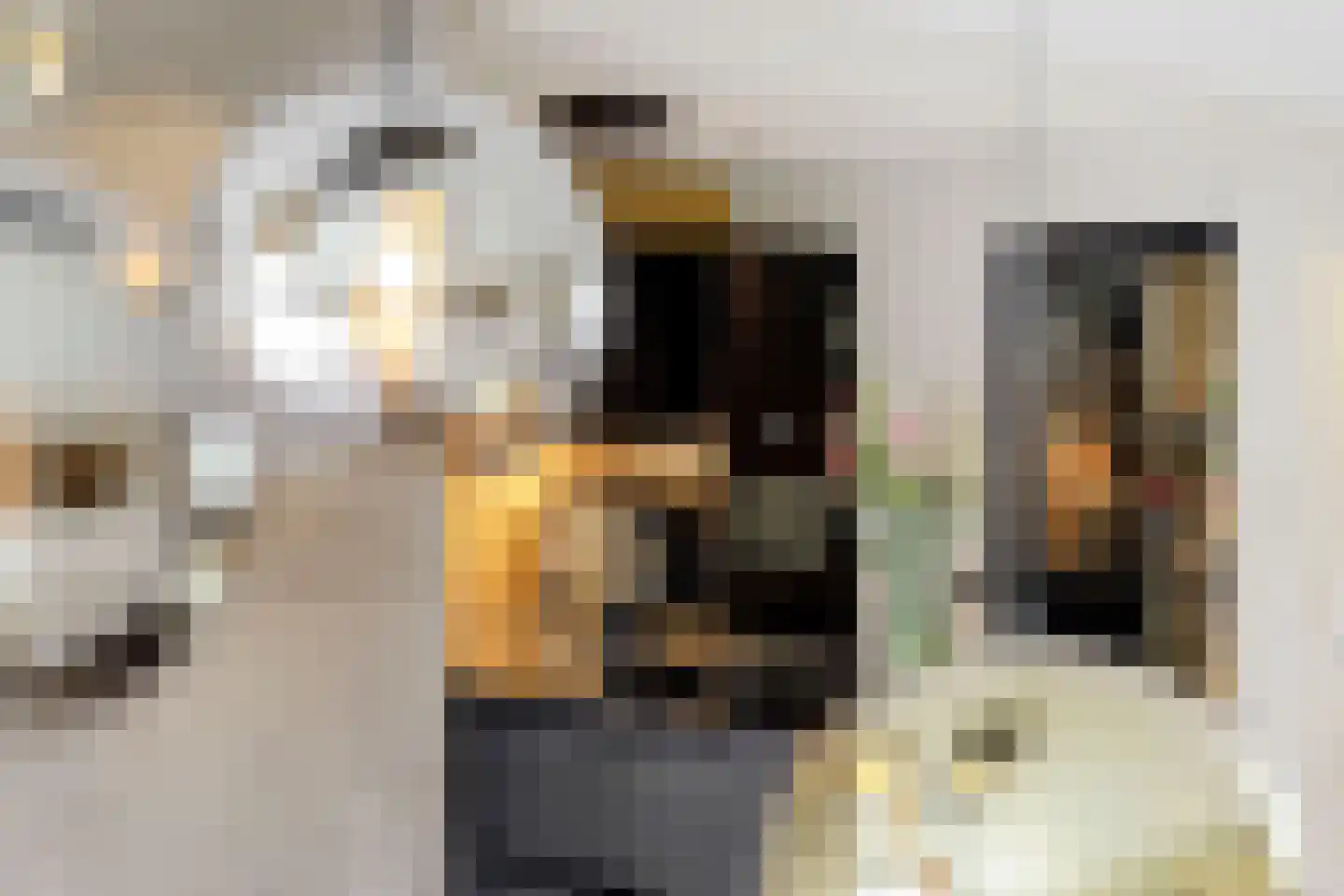 Hendrik Chabotstraat 4 Rosmalen thumbnail 12