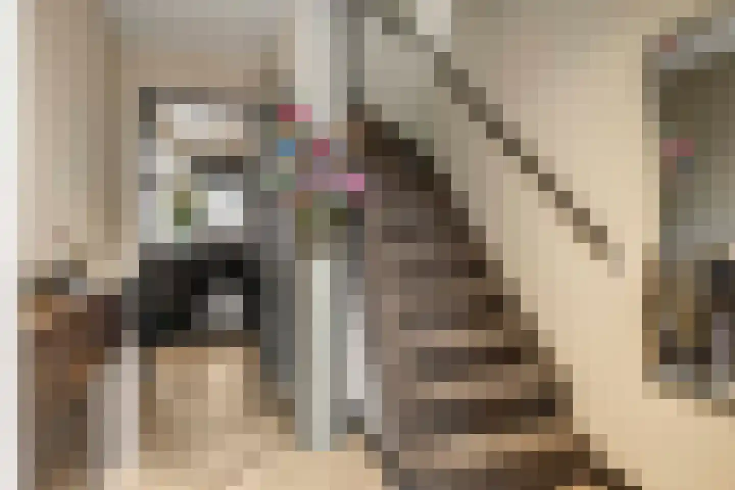 Hendrik Chabotstraat 4 Rosmalen thumbnail 16