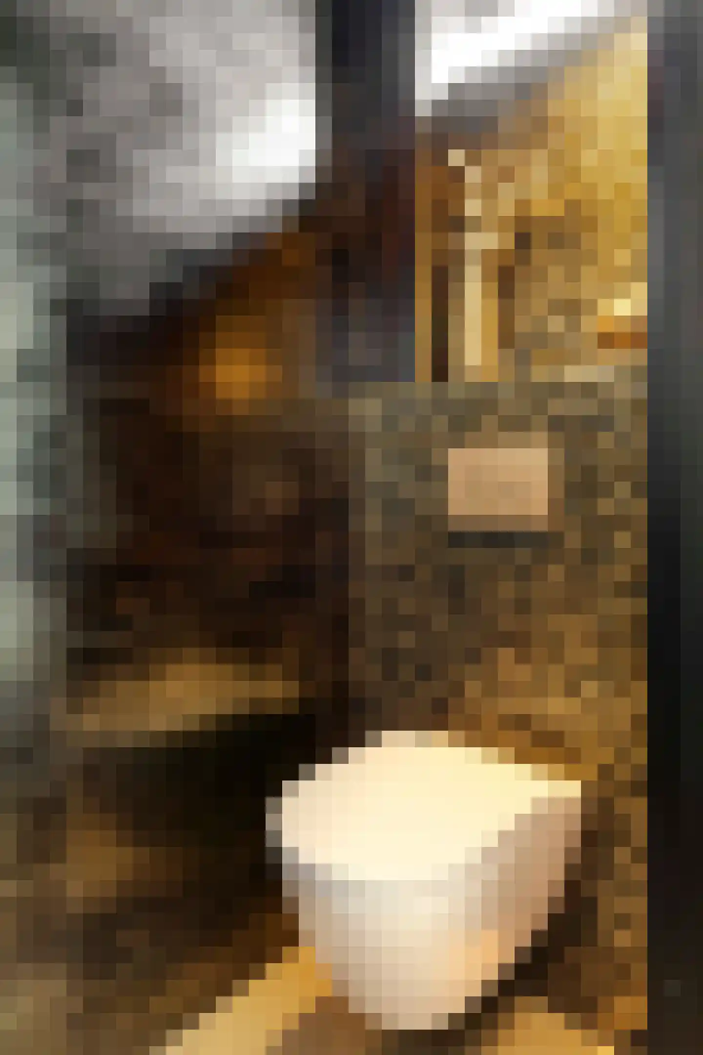 Hendrik Chabotstraat 4 Rosmalen thumbnail 17