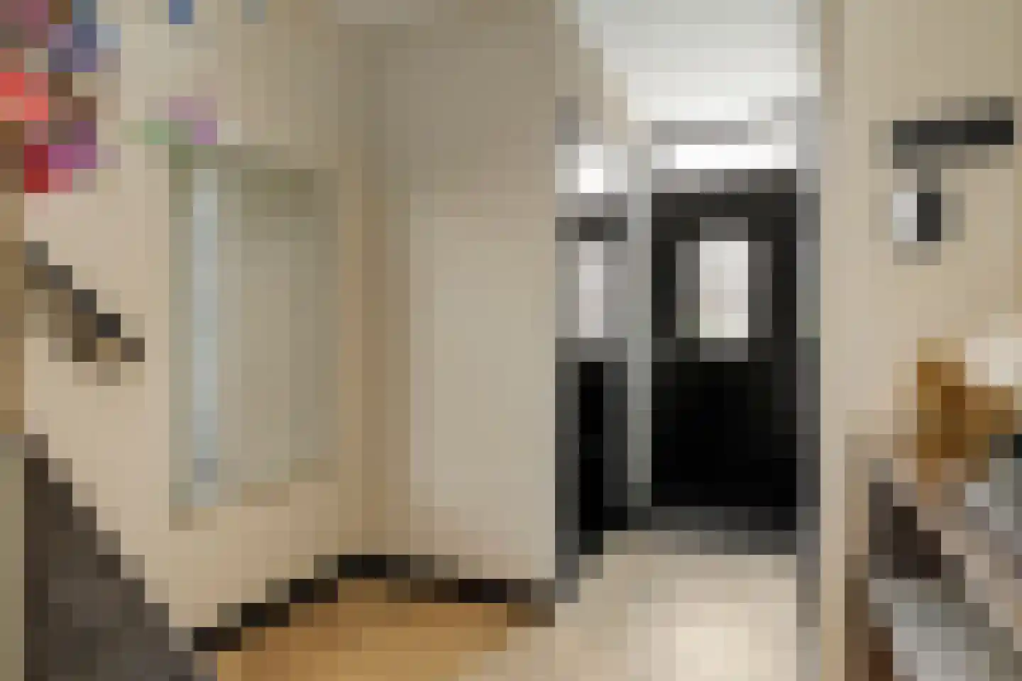Hendrik Chabotstraat 4 Rosmalen thumbnail 18