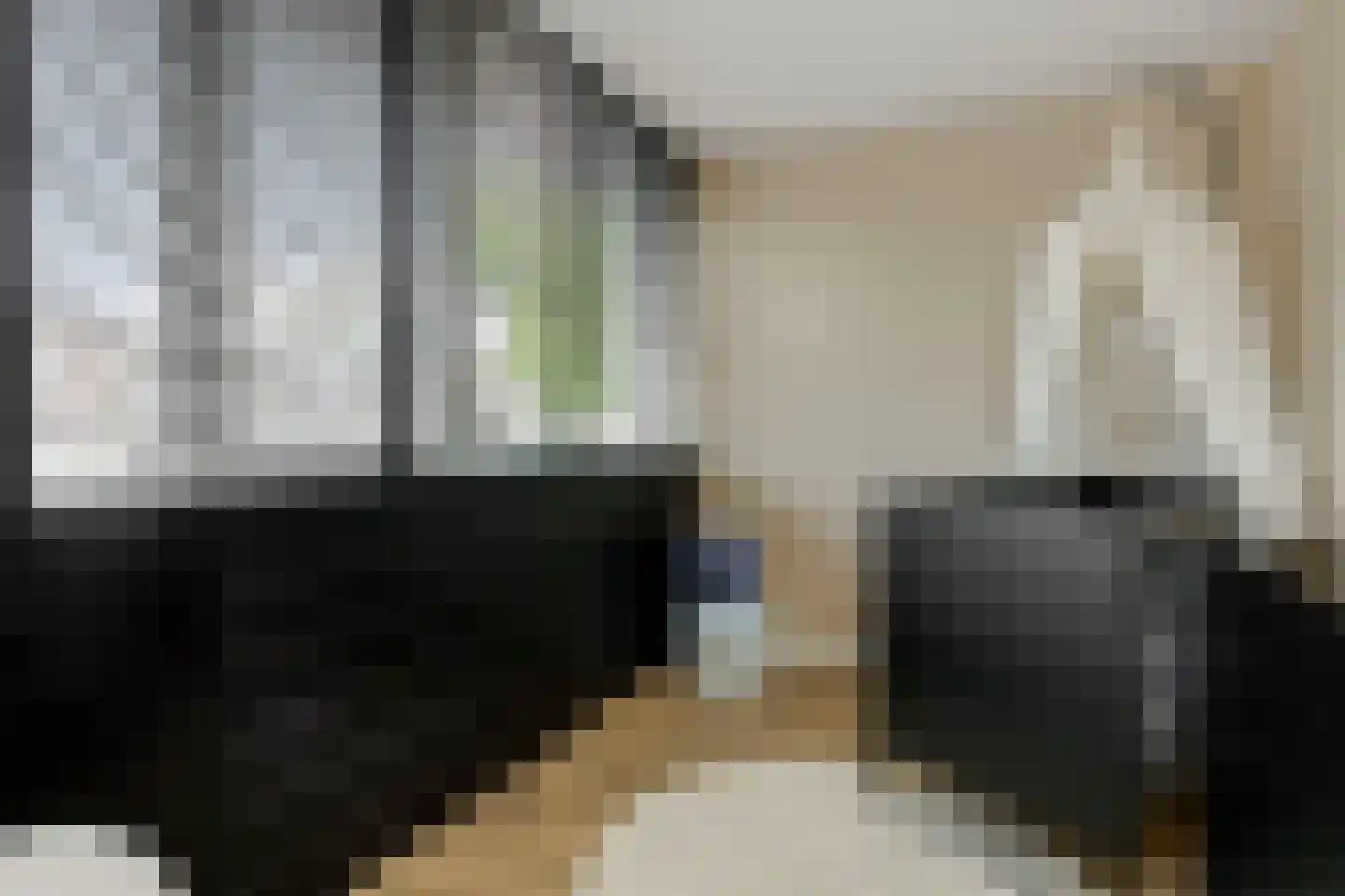 Hendrik Chabotstraat 4 Rosmalen thumbnail 22