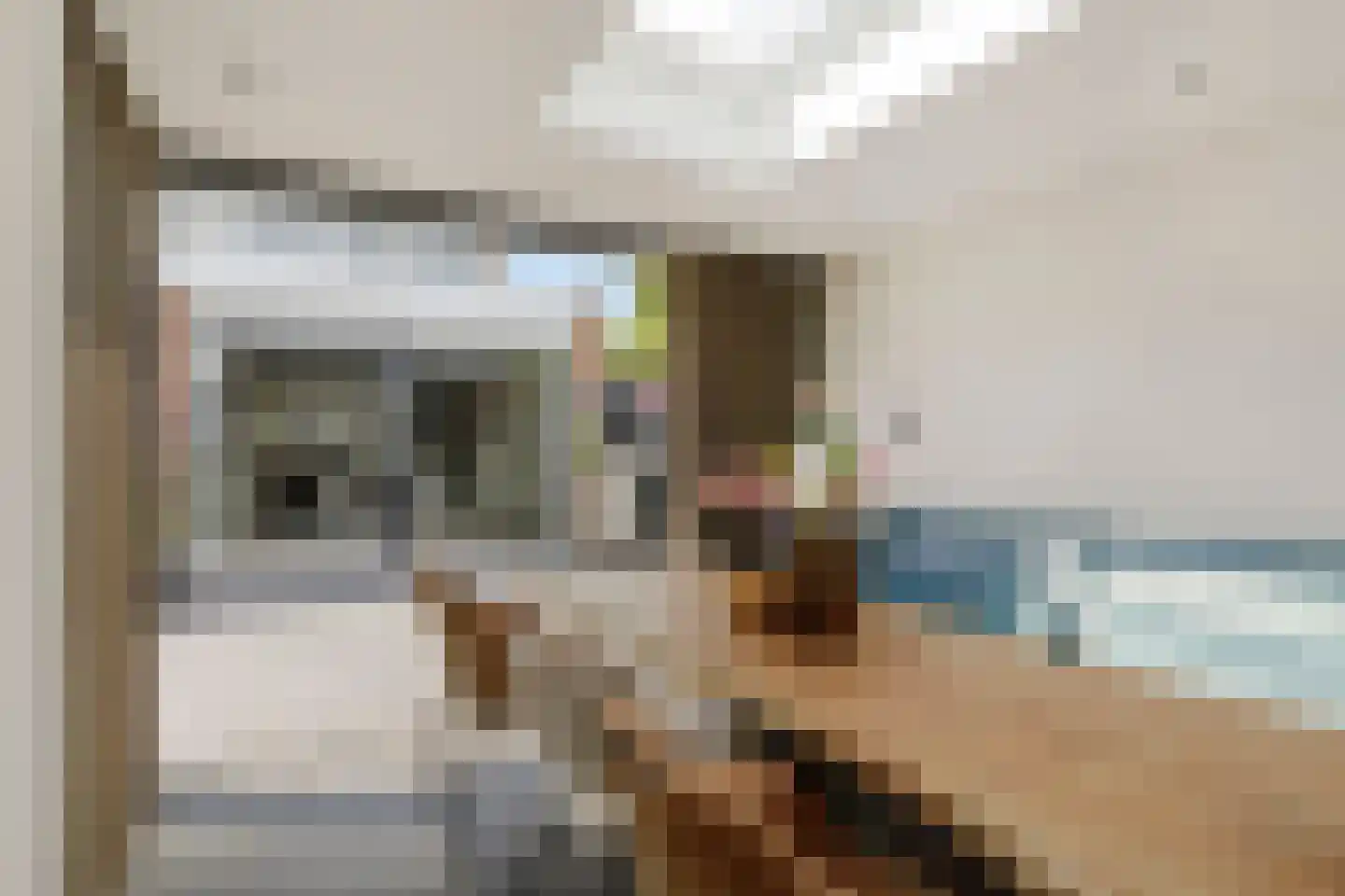 Hendrik Chabotstraat 4 Rosmalen thumbnail 37