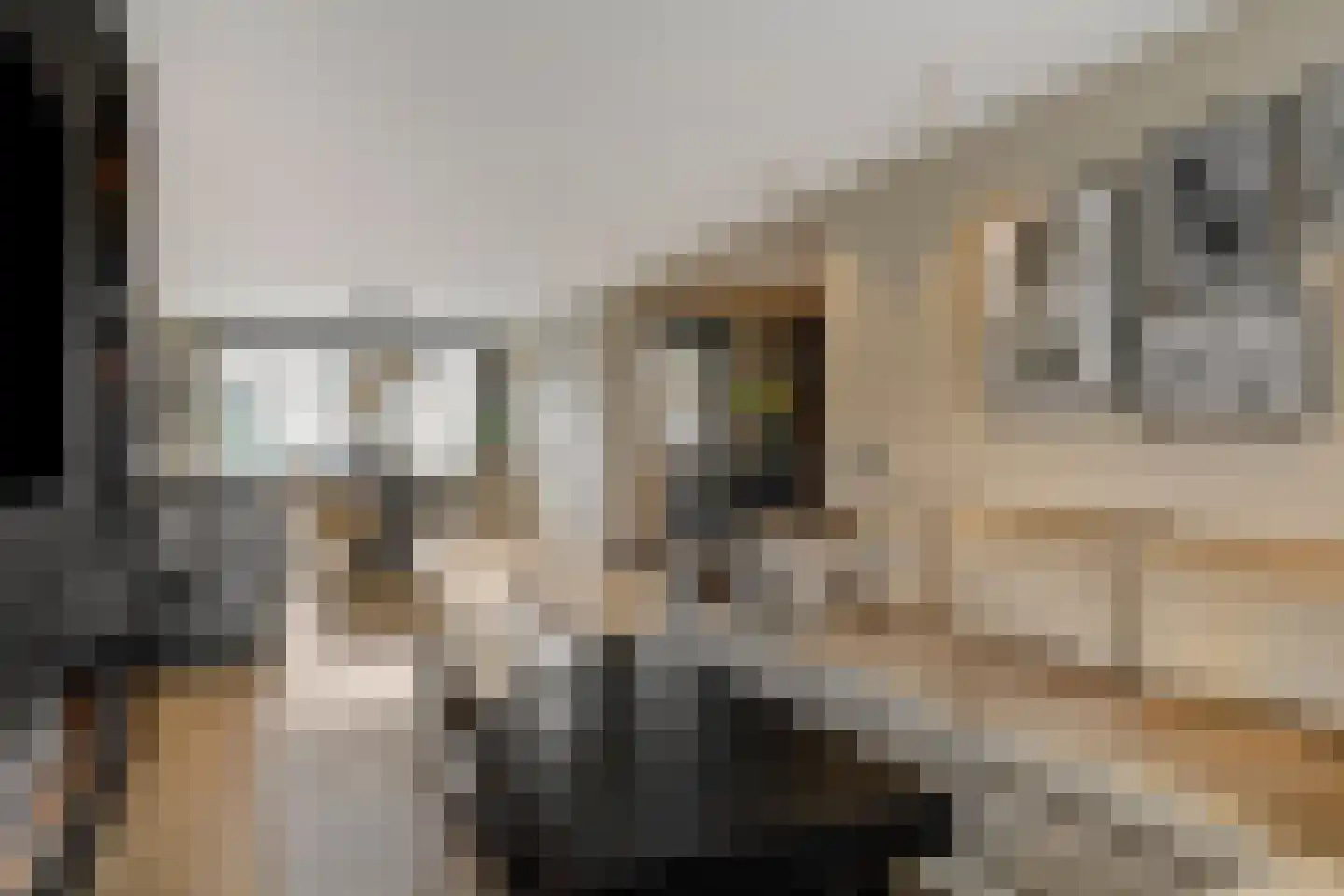 Hendrik Chabotstraat 4 Rosmalen thumbnail 4