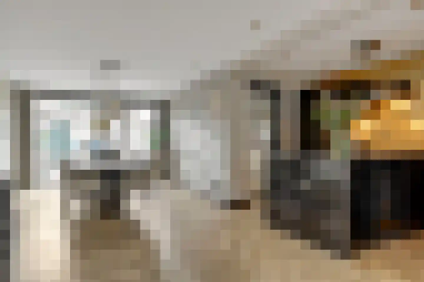 Hendrik Chabotstraat 4 Rosmalen thumbnail 5