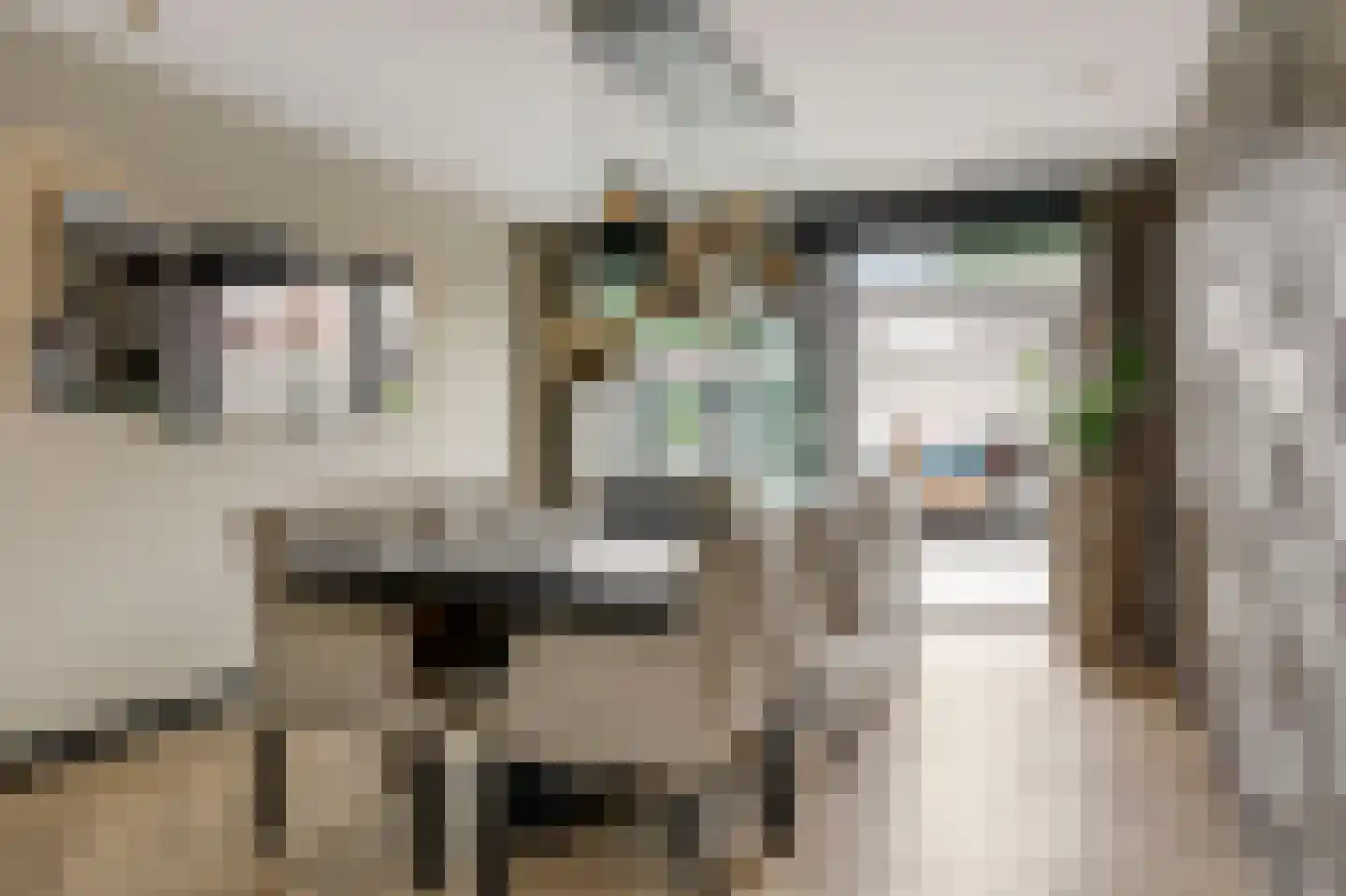 Hendrik Chabotstraat 4 Rosmalen thumbnail 7