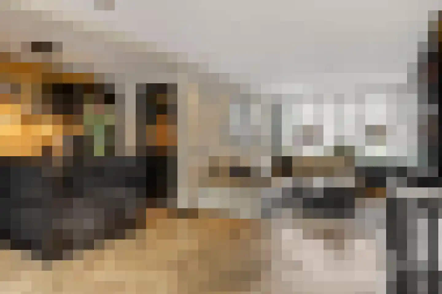 Hendrik Chabotstraat 4 Rosmalen thumbnail 8