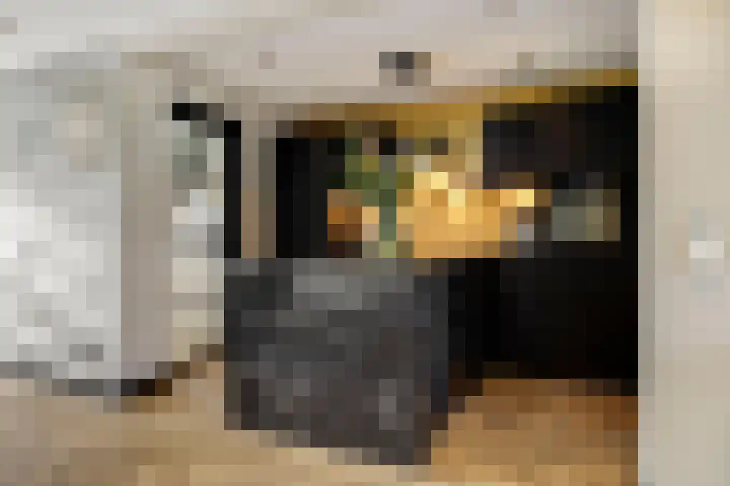 Hendrik Chabotstraat 4 Rosmalen thumbnail 9