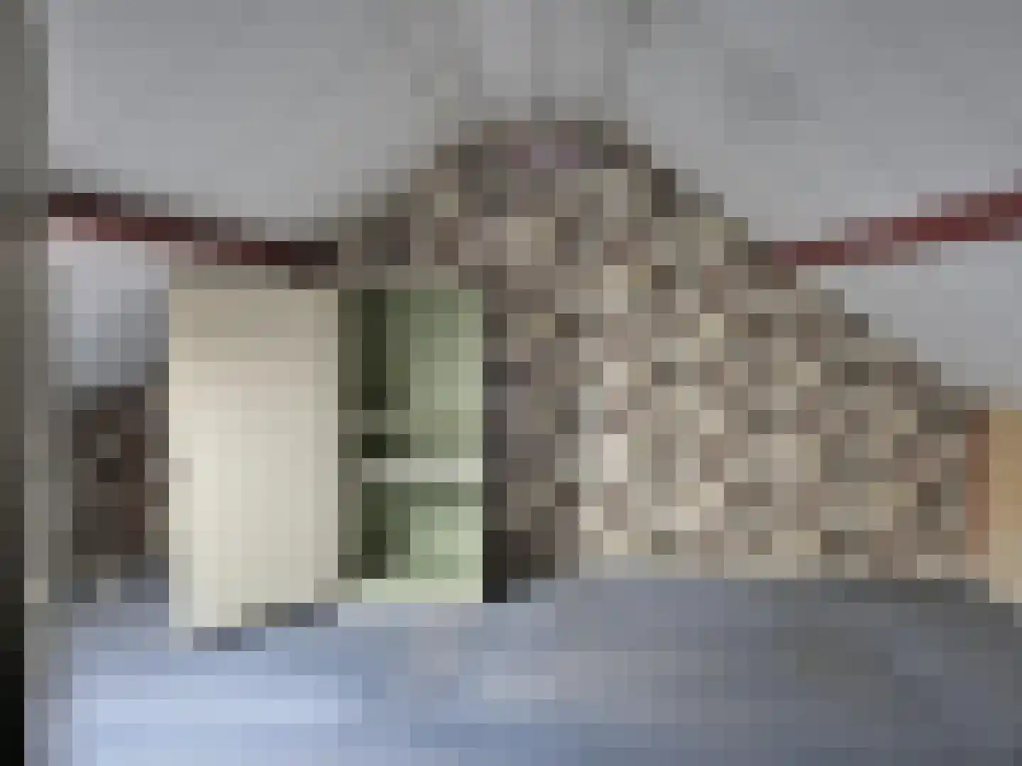 Hendrik Consciencelaan 30 Bladel thumbnail 12