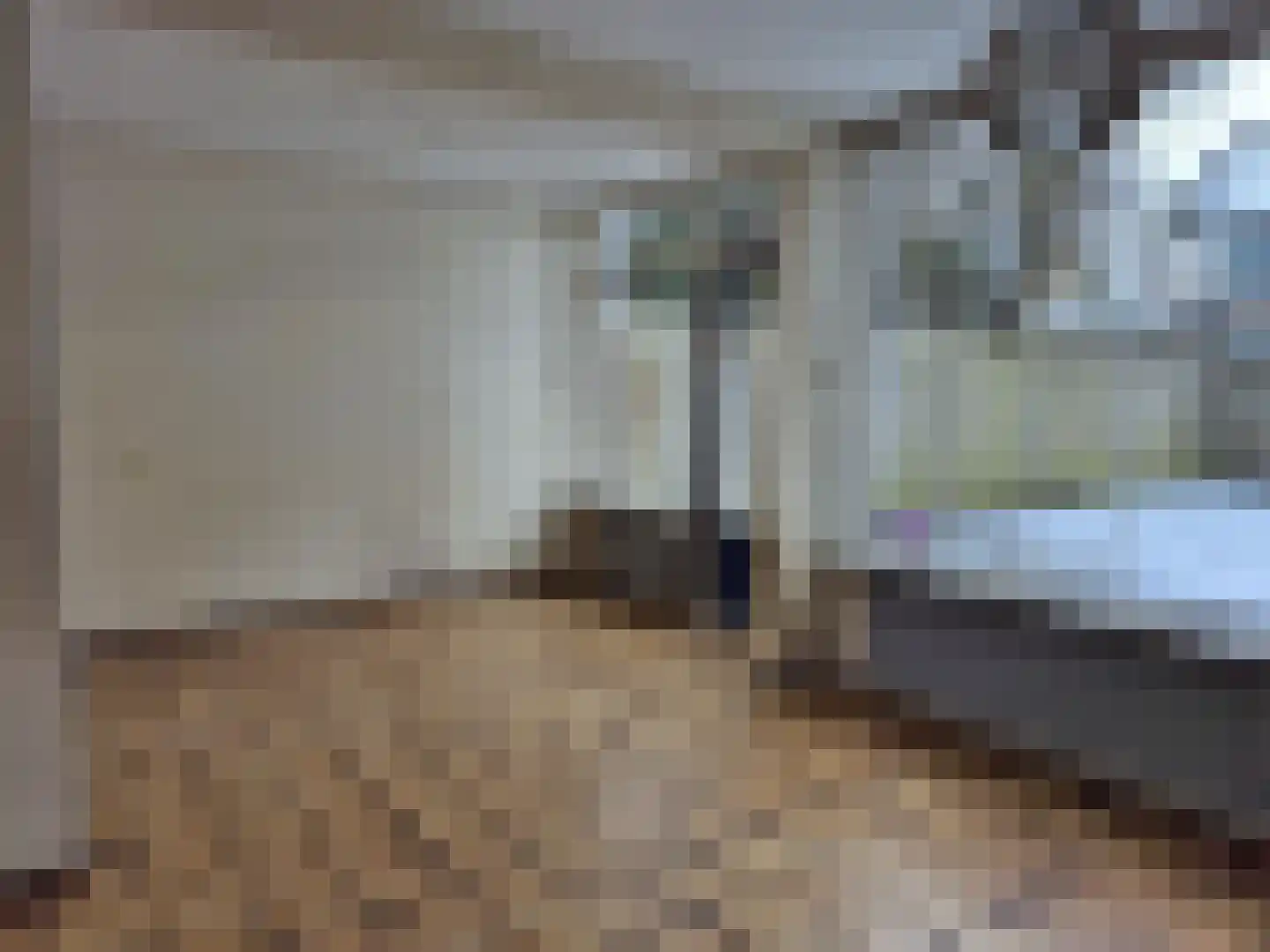 Hendrik Consciencelaan 30 Bladel thumbnail 4