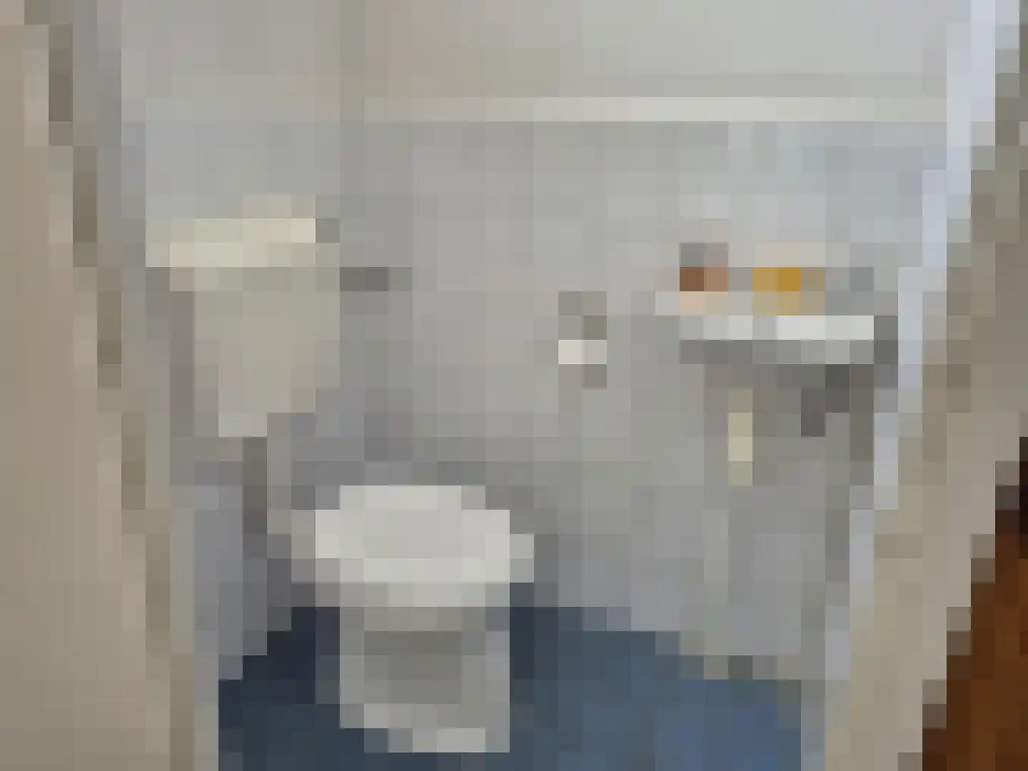 Hendrik Consciencelaan 30 Bladel thumbnail 7
