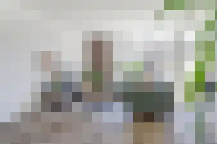 Hendrik Consciencelaan 36 Bladel thumbnail 10