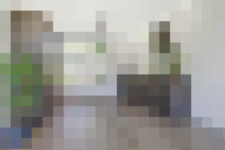 Hendrik Consciencelaan 36 Bladel thumbnail 14