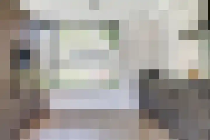 Hendrik Consciencelaan 36 Bladel thumbnail 16