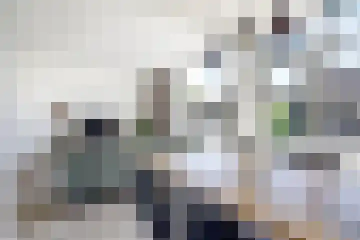 Hendrik Consciencelaan 36 Bladel thumbnail 21