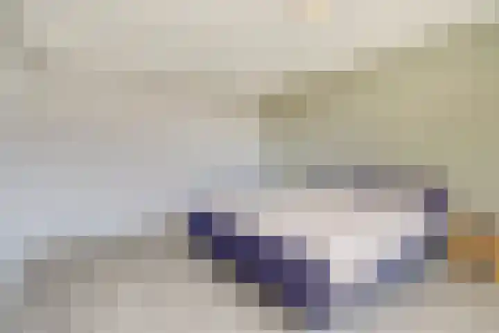 Hendrik Consciencelaan 36 Bladel thumbnail 26