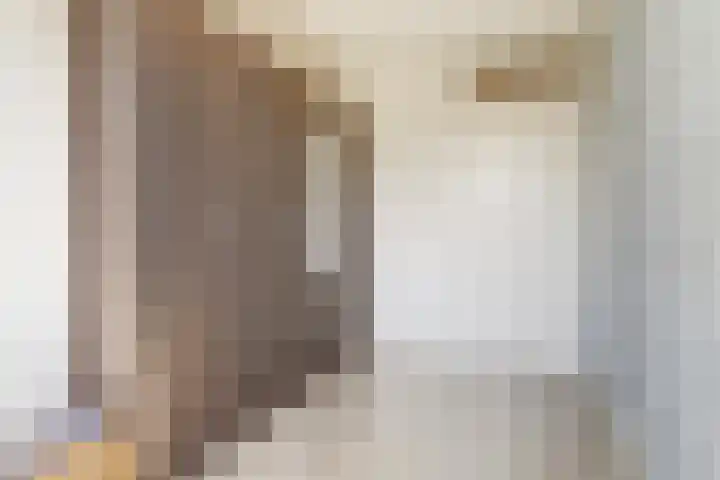 Hendrik Consciencelaan 36 Bladel thumbnail 31