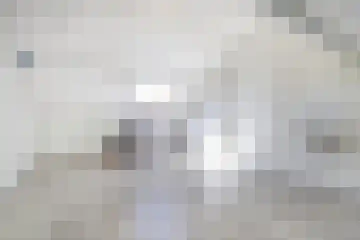 Hendrik Consciencelaan 36 Bladel thumbnail 37