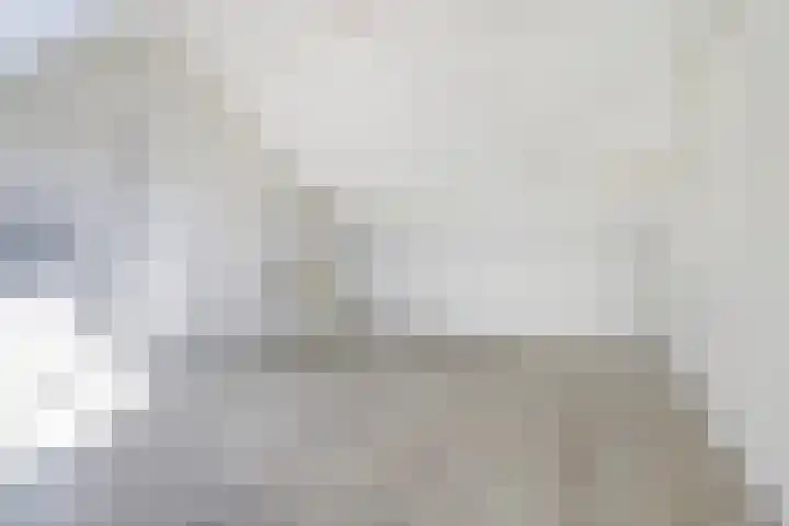 Hendrik Consciencelaan 36 Bladel thumbnail 38