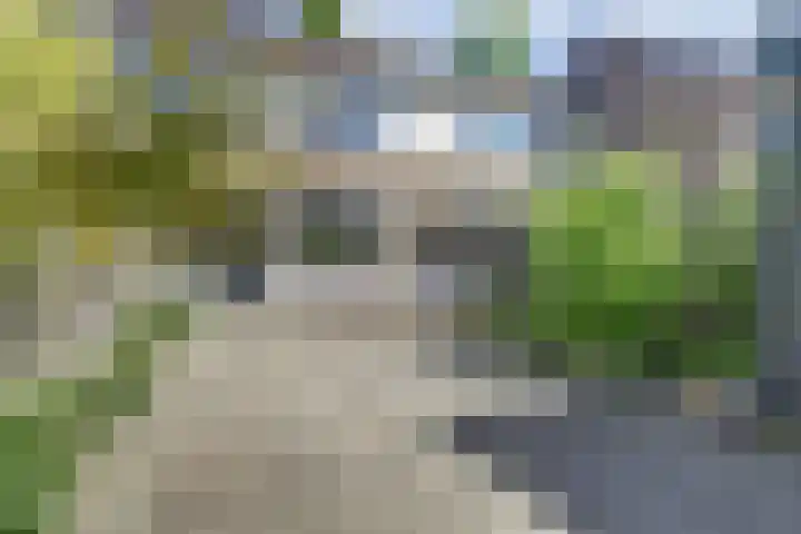 Hendrik Consciencelaan 36 Bladel thumbnail 45