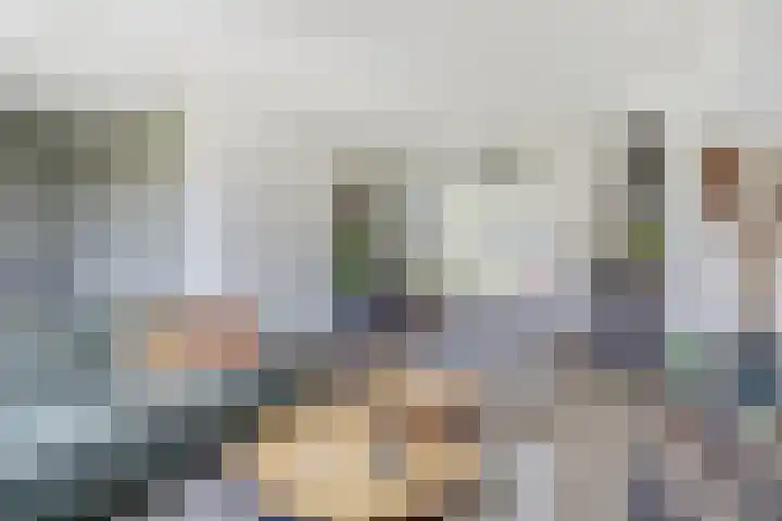 Hendrik Consciencelaan 36 Bladel thumbnail 9