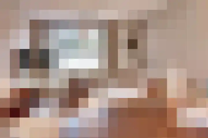 Hendrik Consciencelaan 40 Bladel thumbnail 10
