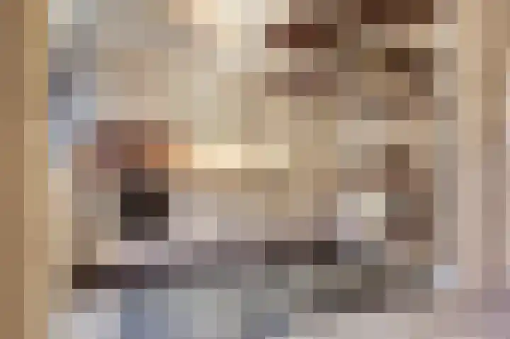 Hendrik Consciencelaan 40 Bladel thumbnail 12