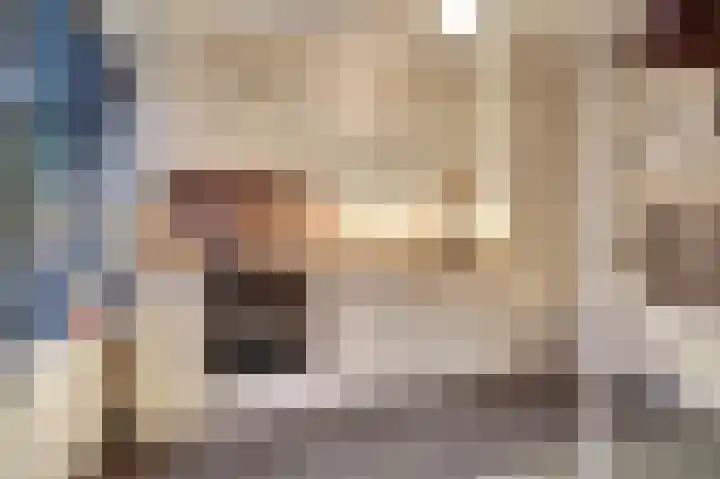 Hendrik Consciencelaan 40 Bladel thumbnail 13