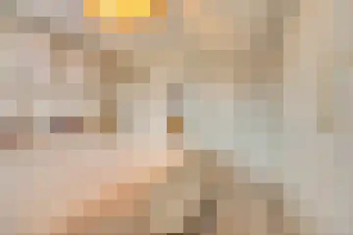 Hendrik Consciencelaan 40 Bladel thumbnail 20