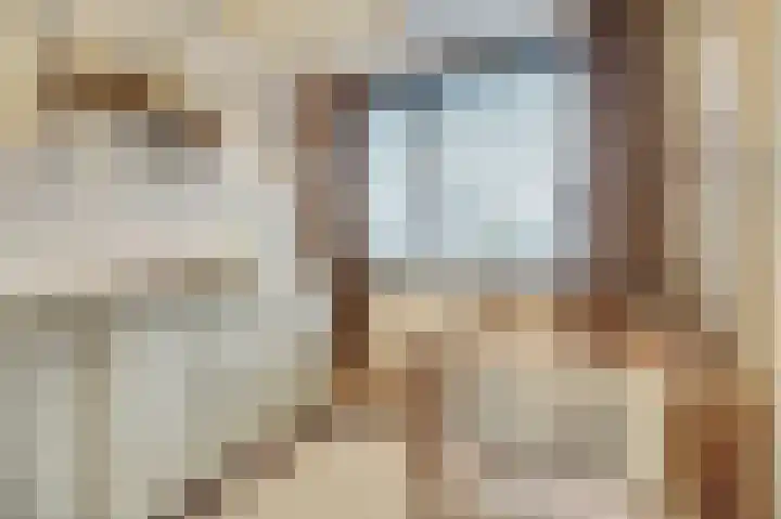 Hendrik Consciencelaan 40 Bladel thumbnail 24