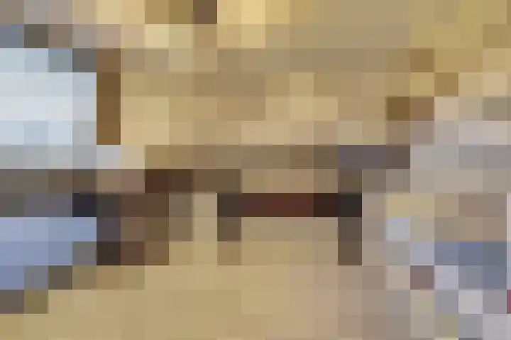 Hendrik Consciencelaan 40 Bladel thumbnail 26