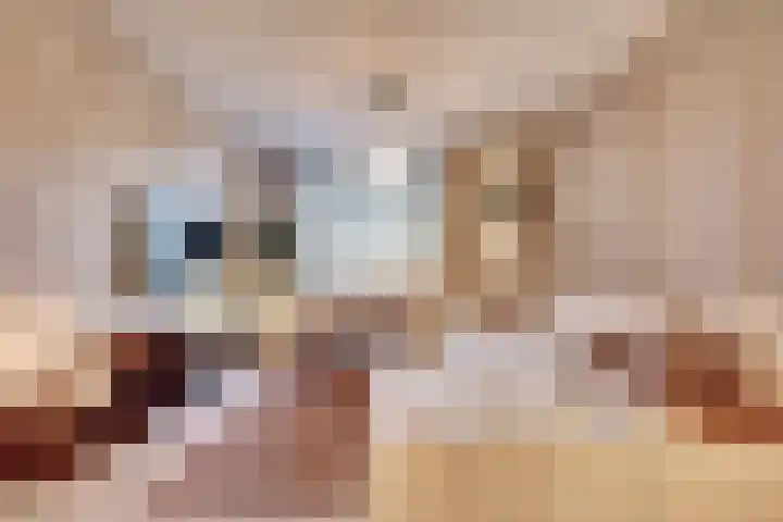 Hendrik Consciencelaan 40 Bladel thumbnail 5