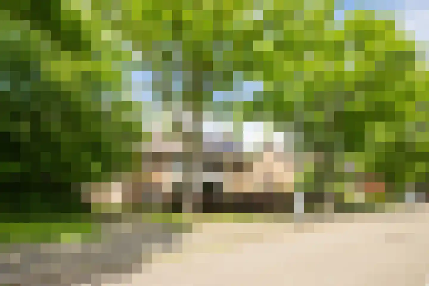 Hendrik Consciencestraat 14 Sittard thumbnail 25