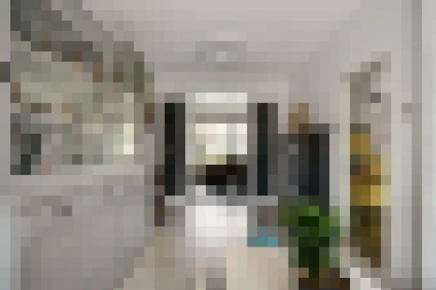 Hendrik Consciencestraat 40 Venlo thumbnail 11