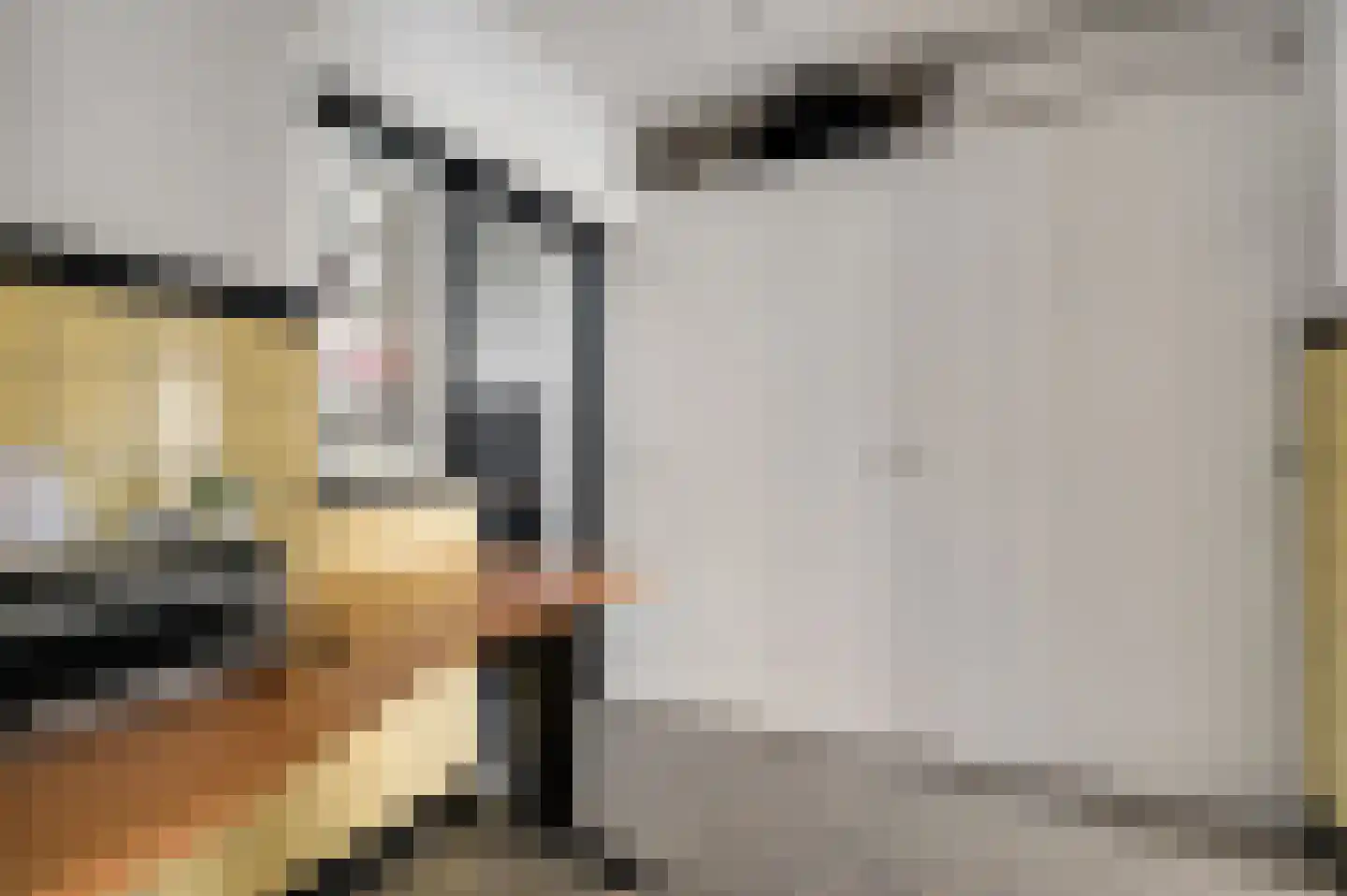 Hendrik Consciencestraat 40 Venlo thumbnail 12
