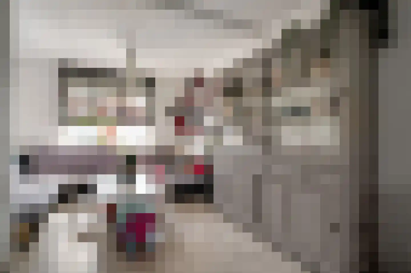Hendrik Consciencestraat 40 Venlo thumbnail 9