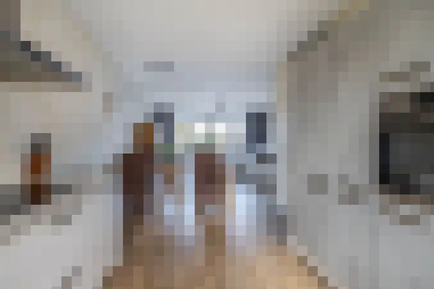 Hendrik Copijnstraat 13 Waddinxveen thumbnail 11