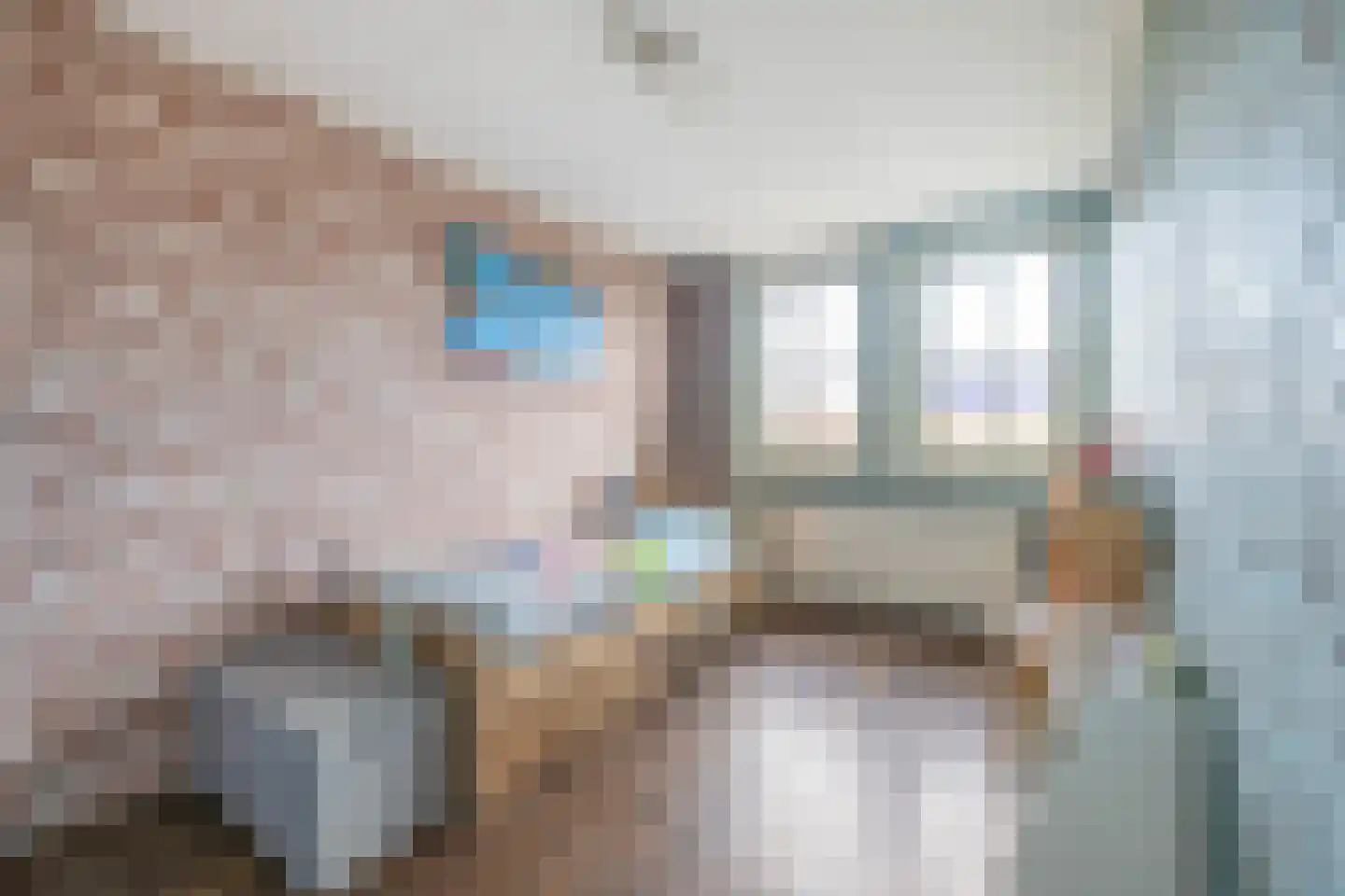 Hendrik Copijnstraat 13 Waddinxveen thumbnail 18