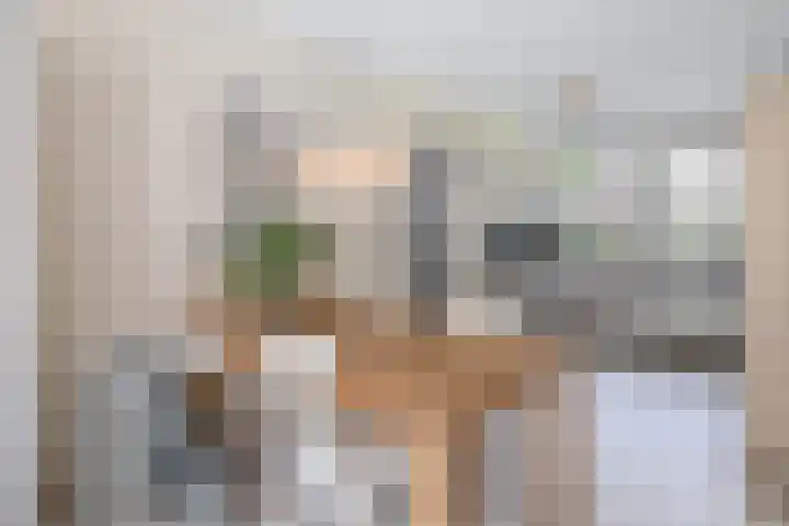 Hendrik Copijnstraat 18 Waddinxveen thumbnail 14
