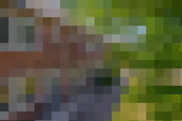Hendrik Copijnstraat 18 Waddinxveen thumbnail 32