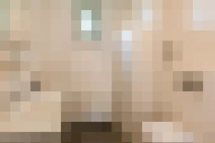 Hendrik Copijnstraat 18 Waddinxveen thumbnail 4