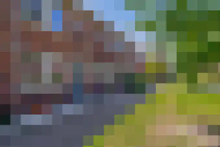 Hendrik Copijnstraat 18 Waddinxveen thumbnail 6