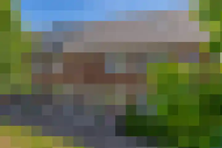 Hendrik Copijnstraat 18 Waddinxveen thumbnail 8