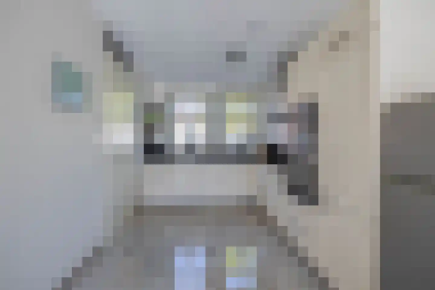 Hendrik Copijnstraat 24 Waddinxveen thumbnail 13