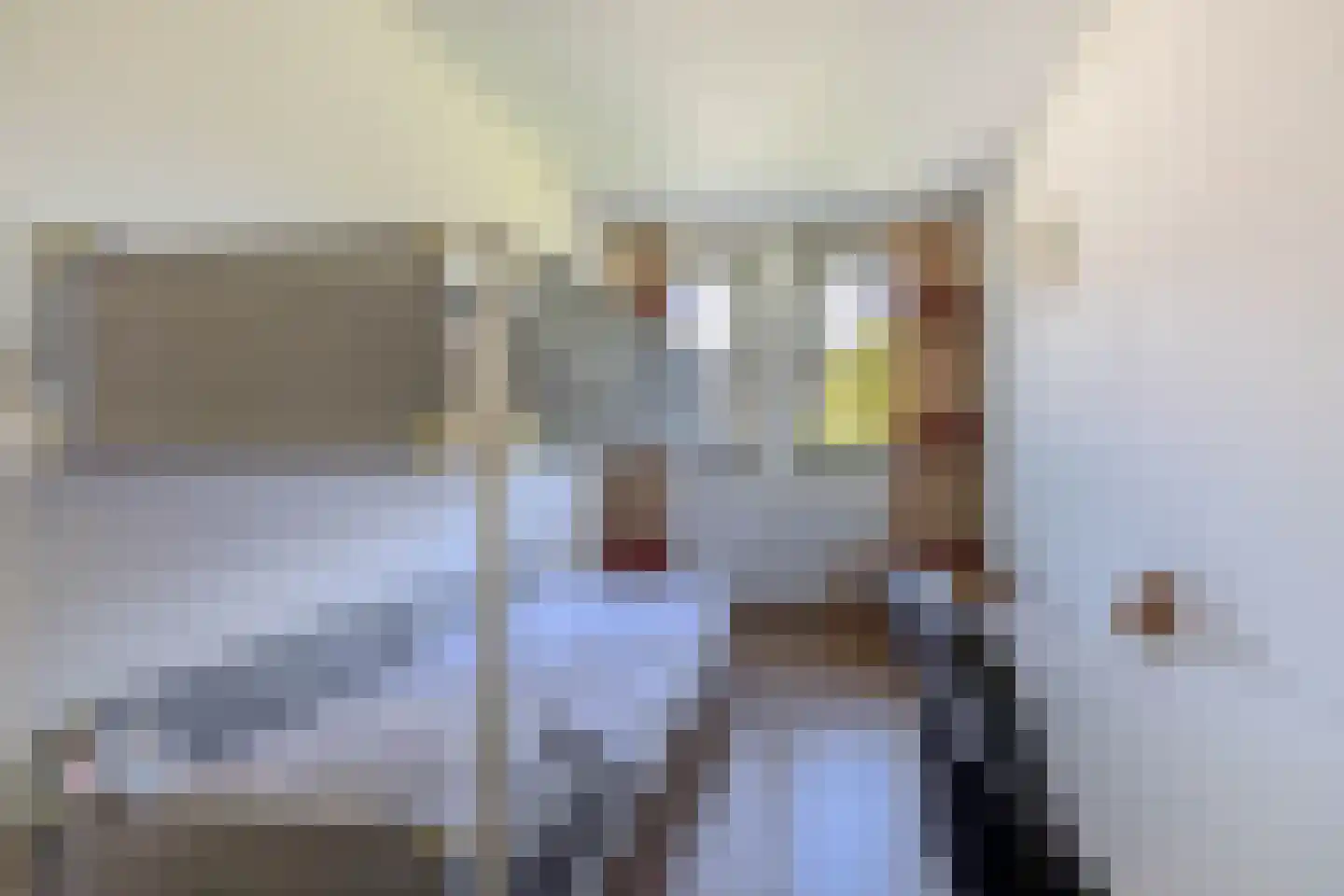 Hendrik Copijnstraat 24 Waddinxveen thumbnail 26