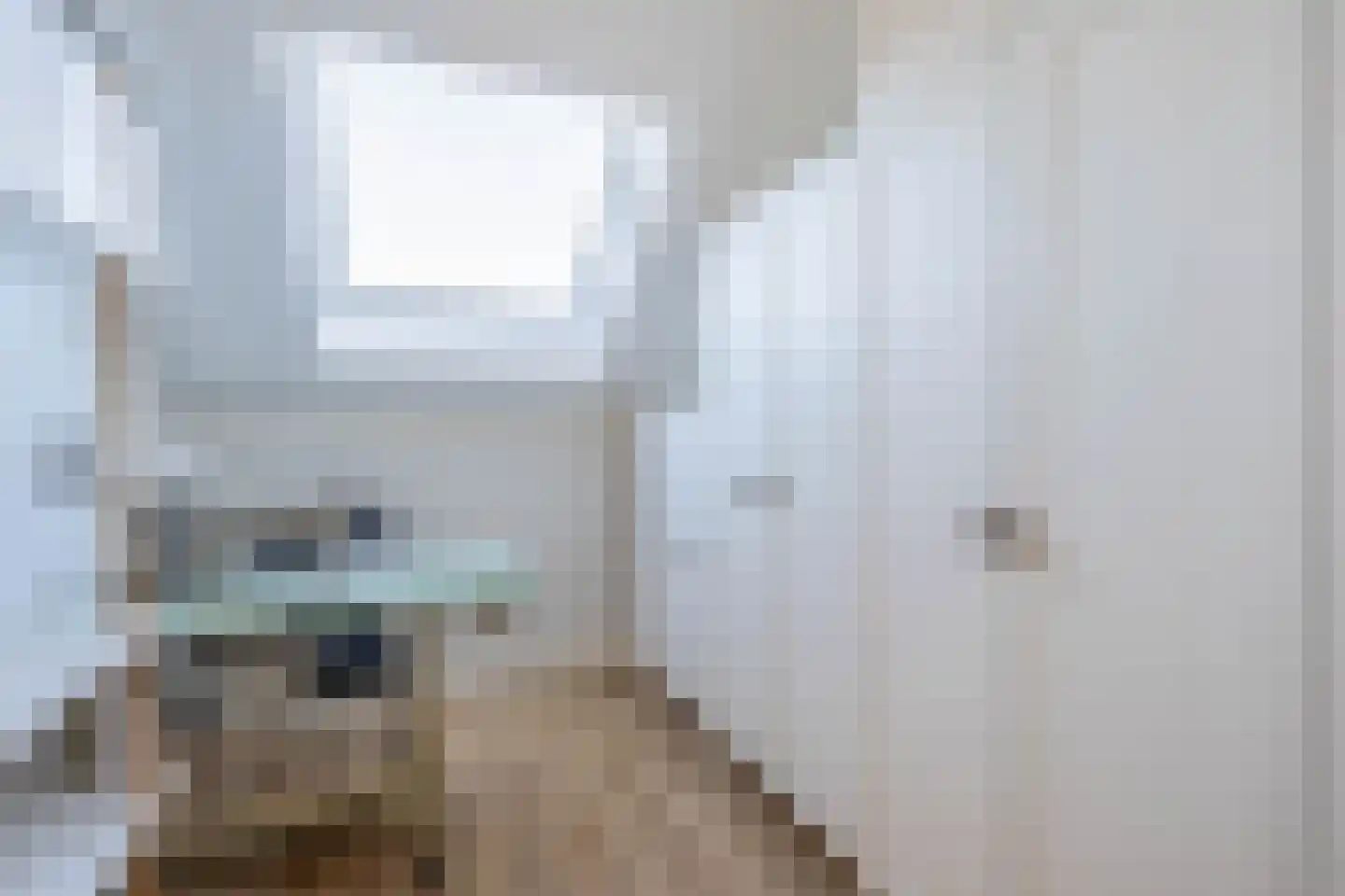 Hendrik Copijnstraat 24 Waddinxveen thumbnail 27