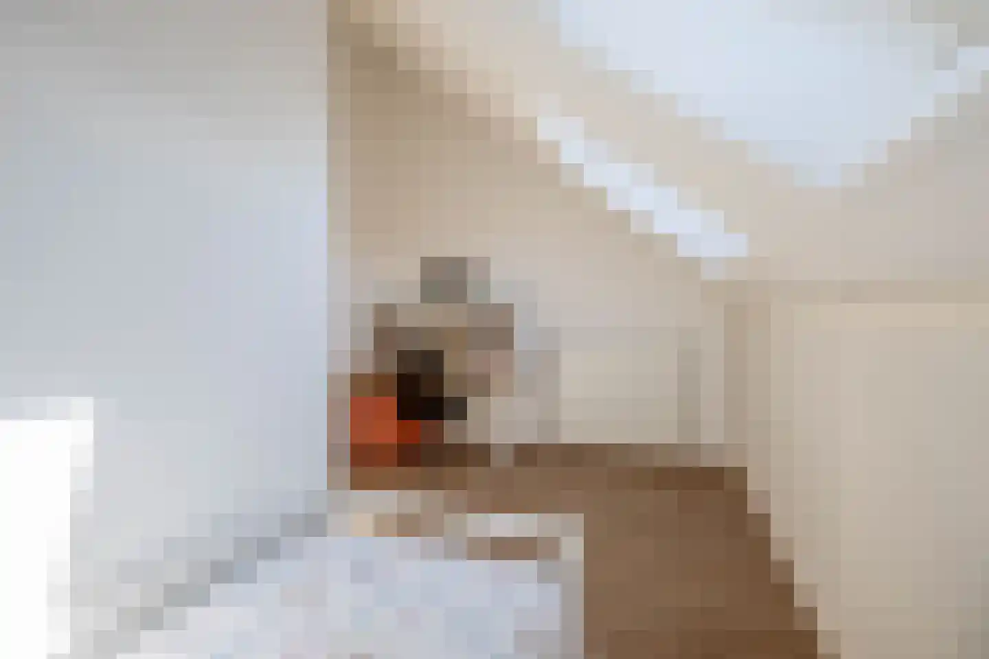 Hendrik Copijnstraat 24 Waddinxveen thumbnail 30